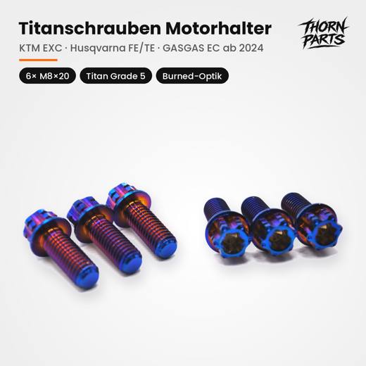 Motorhalter 6× M8×20, Burned