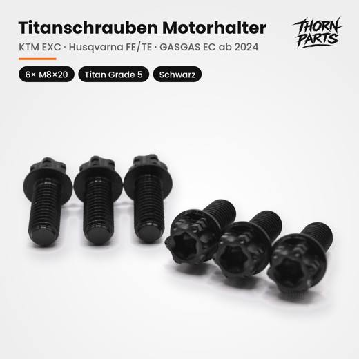 Motorhalter 6× M8×20, Schwarz