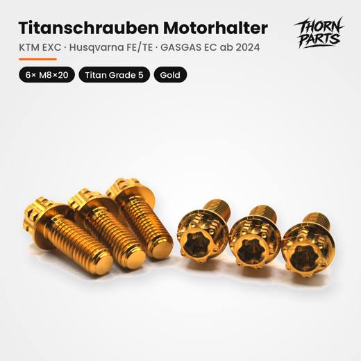 Motorhalter 6× M8×20, Gold