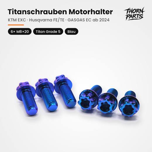 Motorhalter 6× M8×20, Blau
